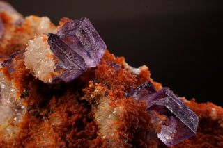 UNIQUE Purple Fluorite Crystal Cluster OJUELA MINE,  MEXICO 3