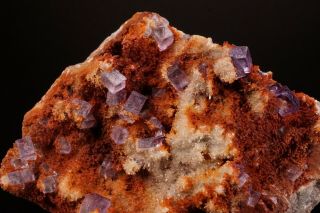 UNIQUE Purple Fluorite Crystal Cluster OJUELA MINE,  MEXICO 4