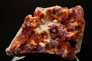 UNIQUE Purple Fluorite Crystal Cluster OJUELA MINE,  MEXICO 6