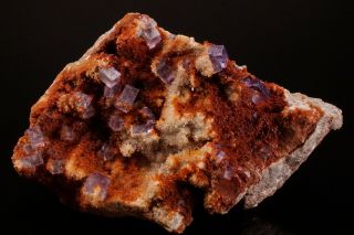 UNIQUE Purple Fluorite Crystal Cluster OJUELA MINE,  MEXICO 8