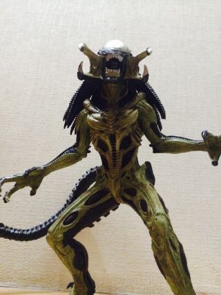 9.  1in 23cm Predalien Avp2 Japan Figure Real Color Alien Vs Predator Avp