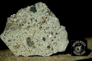 Nwa 8362 Hed Howardite Meteorite 4.  1 Gram Part Slice Of Rare Achondrite