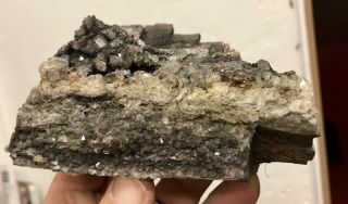 Reilly’s Rocks: Arizona Petrified Wood With Smoky Quartz,  1.  25 Lb.
