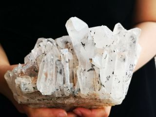 1800g Natural White Quartz Cluster Crystal Vug Point Healing 508