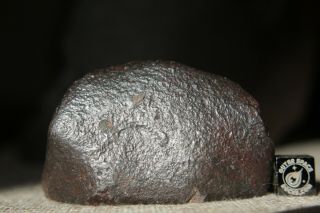 Nwa Unclassified Meteorite 134 Grams Cut In Half With Chondrules And Metal