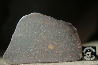 NWA Unclassified Meteorite 134 grams cut in half with chondrules and metal 3