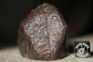NWA Unclassified Meteorite 134 grams cut in half with chondrules and metal 5