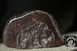 NWA Unclassified Meteorite 134 grams cut in half with chondrules and metal 6