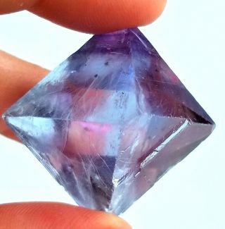 Ross Lillie Gemmy Sky Blue With Purple Fluorite Octahedron From Illinois 3.  5 Cms