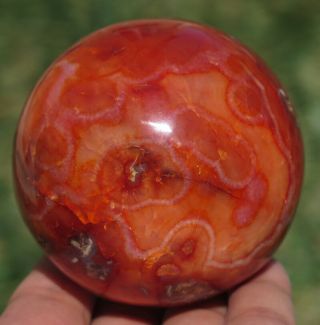 65mm 12.  7OZ Red Carnelian Agate Quartz Crystal Sphere Ball 6