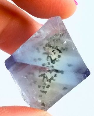 Lqqk Gemmy Baby Blue Illinois Fluorite Octahedron With Sparkly Chalcopyrite (: