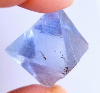 Gemmy Sky Blue Illinois Fluorite Octahedron With Chalcopyrite Inclusions LQQK 3