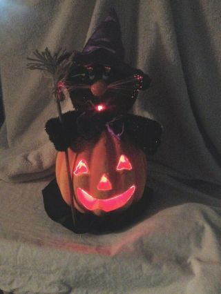 Spooky Halloween Fiber Optic Cat Pumpkin Array Of Color Changing 15 " H
