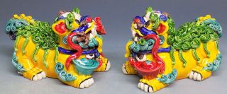 Wucaai Porcelain Pottery Ceramics - Chinese Feng Shui Foo Dogs Figurine Statue