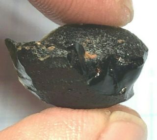 Australite 9: Australian Tektite From Meteorite Impact,  Button Fragment W P Rim