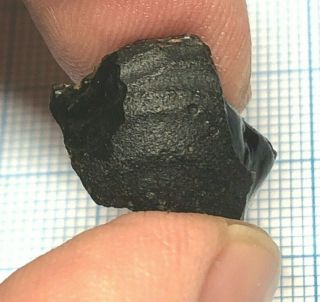 Australite 9: Australian tektite from meteorite impact,  Button Fragment w P Rim 2