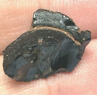 Australite 9: Australian tektite from meteorite impact,  Button Fragment w P Rim 3