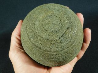 A Giant 100 Natural Ringed Pyrite Concretion From China With A Stand 1727gr E
