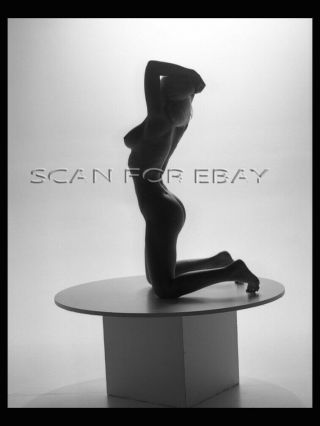 Vintage Nude 2.  25 " Negative Busty Female Model Risque Fine Art Pinup N7.  96