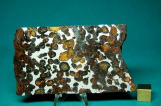 Sericho Meteorite Pallasite 112.  3 Grams