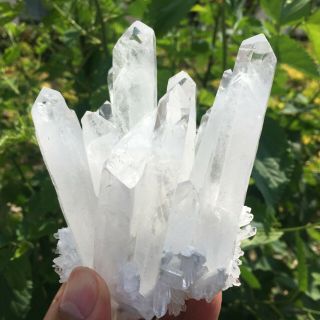 660g Rare Natural Clear Quartz Crystal Cluster Specimen K940