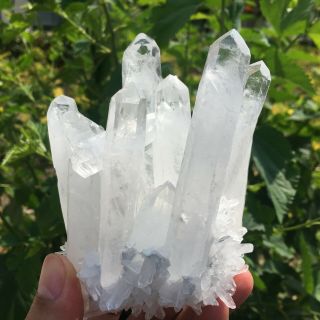 660g Rare Natural Clear Quartz Crystal Cluster Specimen K940 2