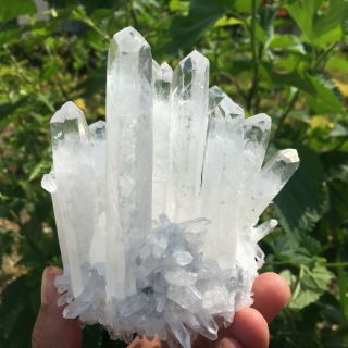 660g Rare Natural Clear Quartz Crystal Cluster Specimen K940 3