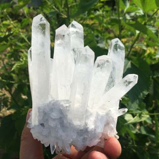 660g Rare Natural Clear Quartz Crystal Cluster Specimen K940 4