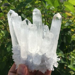 660g Rare Natural Clear Quartz Crystal Cluster Specimen K940 5