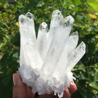 660g Rare Natural Clear Quartz Crystal Cluster Specimen K940 6
