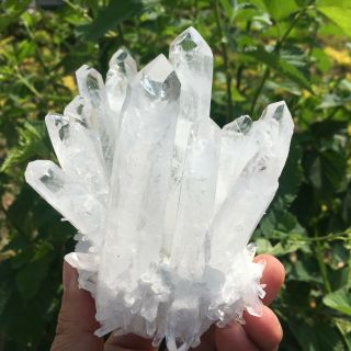 660g Rare Natural Clear Quartz Crystal Cluster Specimen K940 7