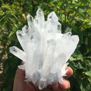 660g Rare Natural Clear Quartz Crystal Cluster Specimen K940 8