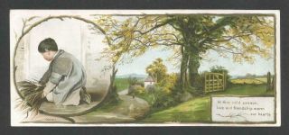 E95 - Rural Country Scene - Farmer Boy In Inset - Victorian Year Card