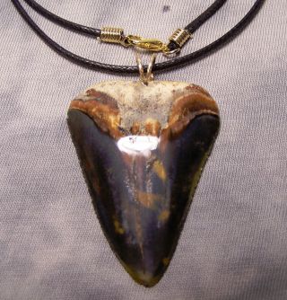 Big 2 1/16 " Great White Shark Tooth Teeth Fossil Wireless Pendant Megalodon Dive