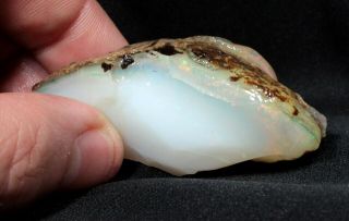 223 Ct Precious Contra Luz Opal From Virgin Valley,  Nevada - Wood