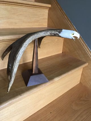Iroquois Bone Carving - Stan Hill Jr.  - Eagle Head Carved Moose Antler