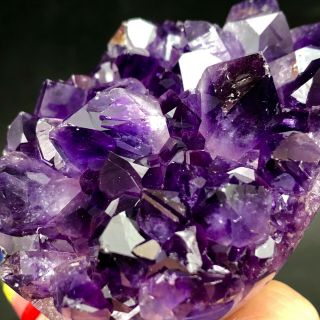 145G Museum Quality - natural Deep PurpleAmethyst Crystal Quartz Cluster/Brazil 2