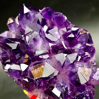 145G Museum Quality - natural Deep PurpleAmethyst Crystal Quartz Cluster/Brazil 3