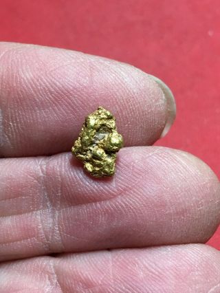 Natural Gold Nugget Specimen With Quartz Rock Bullion From Oregon 1.  11 Gram A64