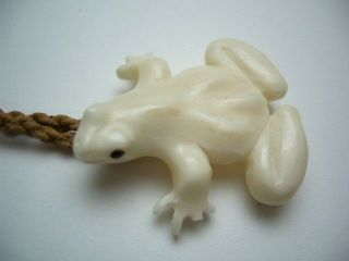 Hawaiian Hawaii Jewelry Buffalo Bone White Frog Necklace W/ Brown Cord 35275 - 1