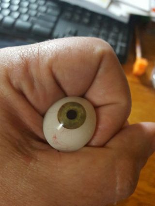 Human Prosthetic Eye Hazel Green Great Veining.  Cool And Creepy G19