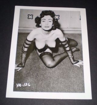 Vicky Palmer - Vintage 4x5 Photo - Original/pinup/girl/nude/burlesque/model/1950
