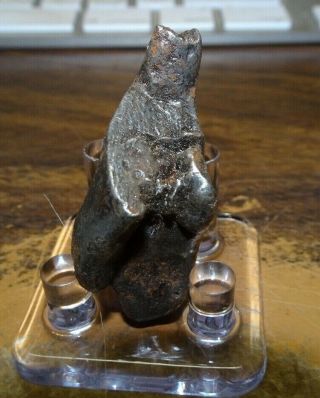 50 Gm.  Sikhote Alin Iron Meteorite ; Top Grade; Russia With Stand