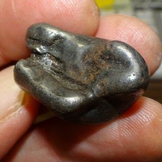 50 gm.  SIKHOTE ALIN IRON METEORITE ; TOP GRADE; RUSSIA WITH STAND 5