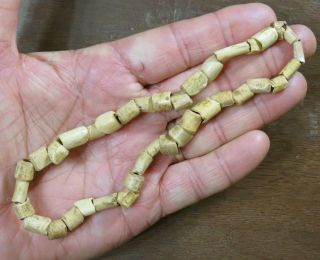 Rare 14 Inch Mississippian Necklace,  Bone Tube Beads,  Eastern Tn Area X Beutell