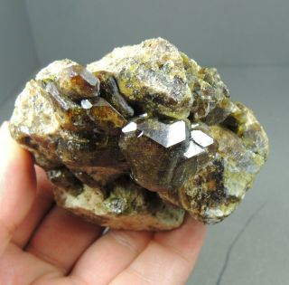 21.  12 Vesuvianite 8.  5x8 Cm Fushan Mine,  She Co. ,  Handan Pref. ,  Hebei Prov,  China
