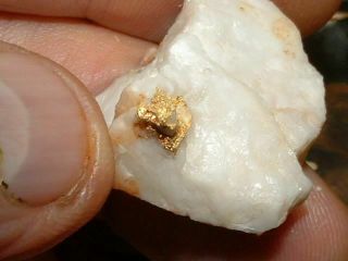 California Gold Quartz Specimen Natural Gold Nugget 9 Grams Gold In Quartz