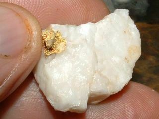 CALIFORNIA GOLD QUARTZ SPECIMEN NATURAL GOLD NUGGET 9 GRAMS GOLD IN QUARTZ 3