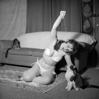 Vintage Glenda Graham B&w 120 Film Negative (nudes)