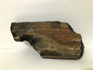 Vintage Petrified Wood Log 4,  lb Rock Specimen Fossil Slab Antique 10 